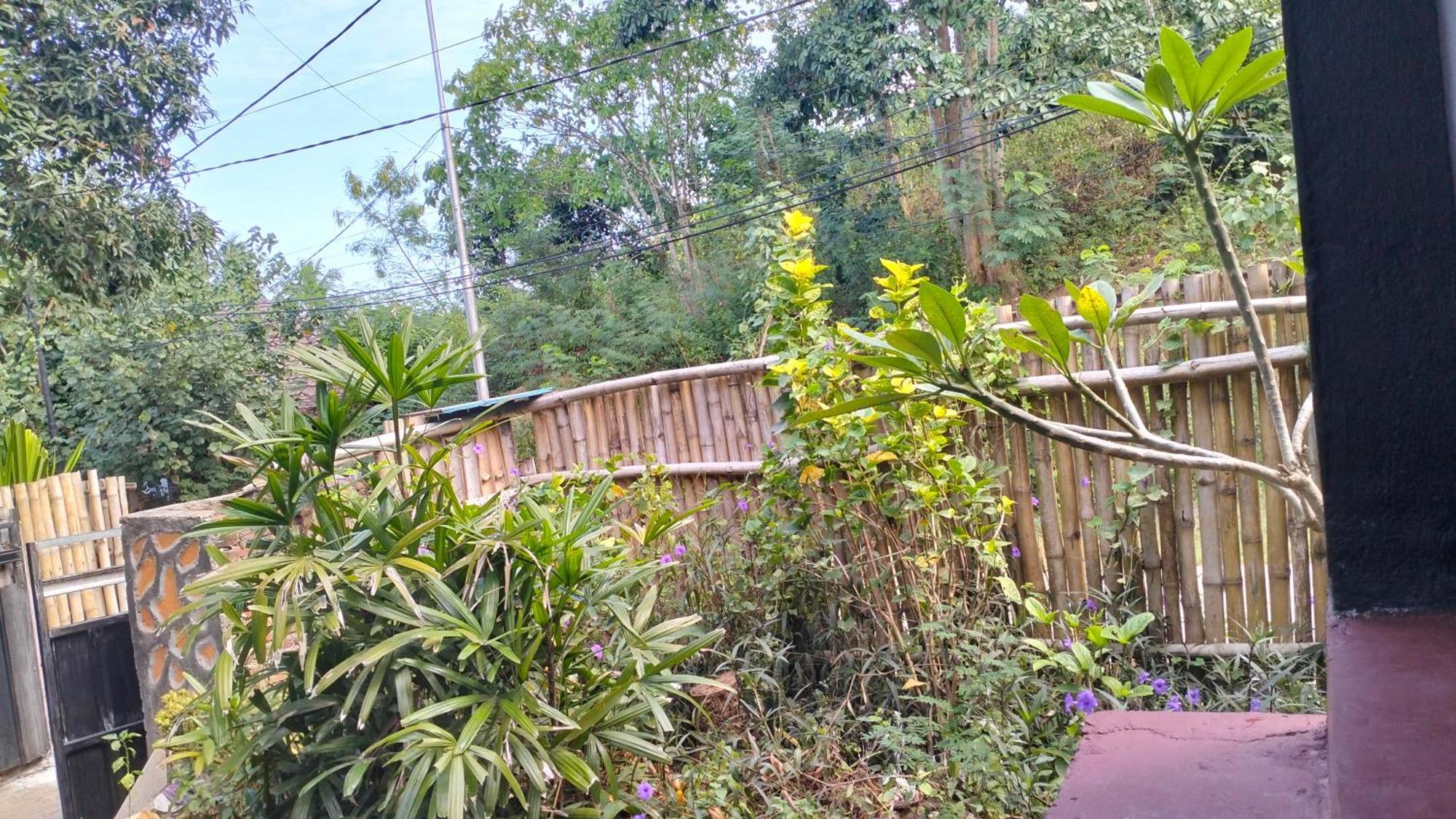 Palm Homestay Kuta Kuta  Ngoại thất bức ảnh