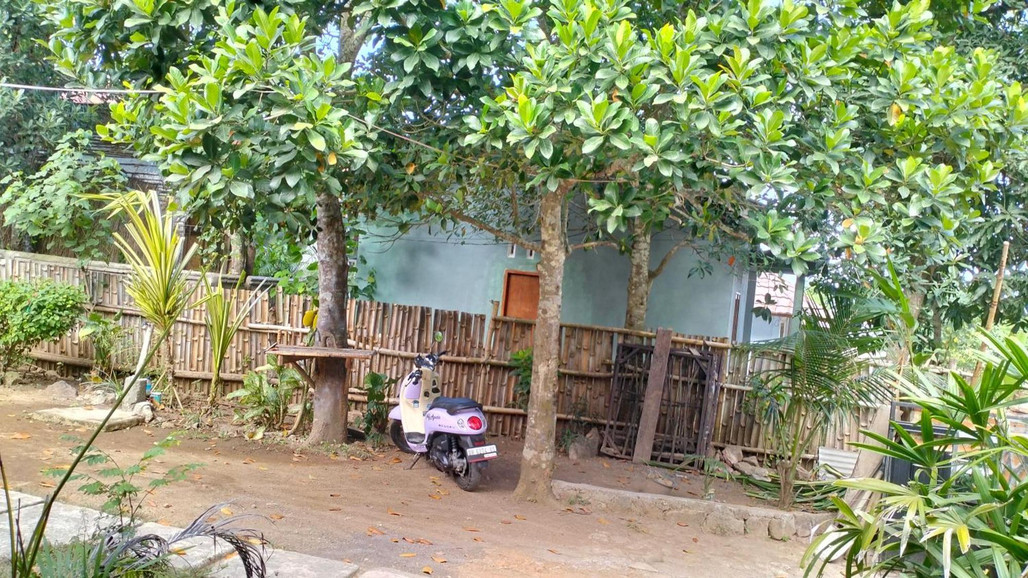 Palm Homestay Kuta Kuta  Ngoại thất bức ảnh
