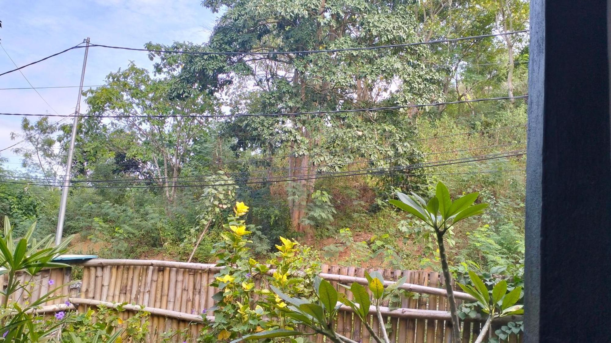 Palm Homestay Kuta Kuta  Ngoại thất bức ảnh