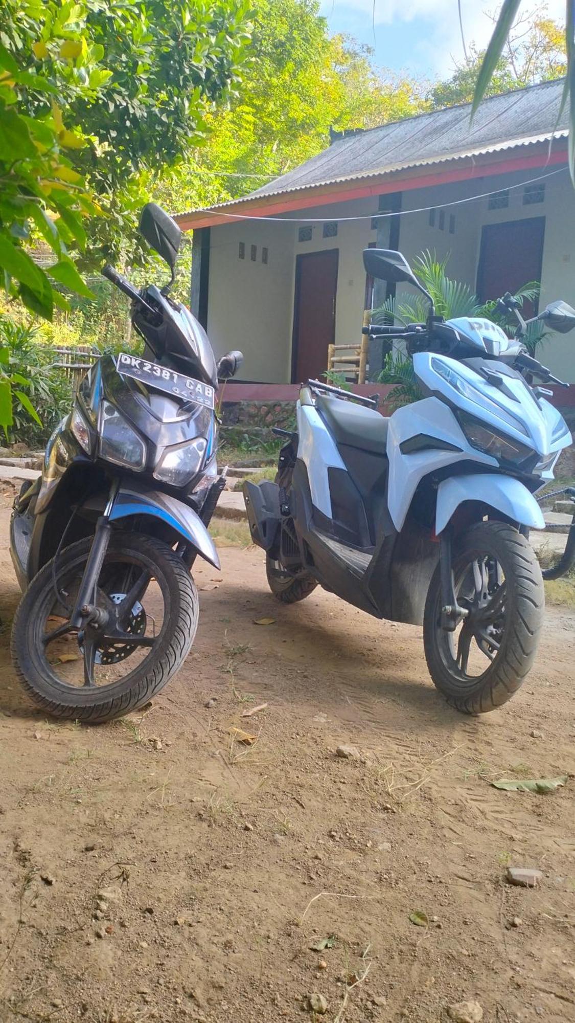 Palm Homestay Kuta Kuta  Ngoại thất bức ảnh